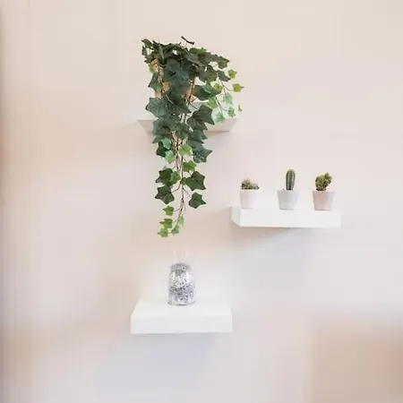 - Basilica San Pietro